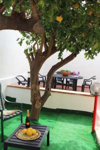 Mondello House Lemon