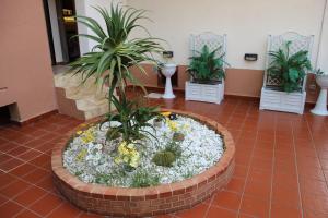 Mondello House Lemon