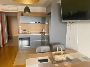 Apartment Hakuna Matata - 穆尔斯卡索博塔