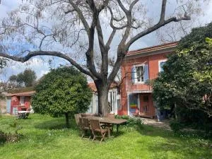 Jardin d'eden - Virebelle