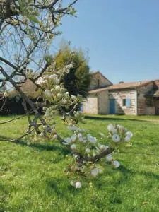 Maisonnette de campagne - Gardonne