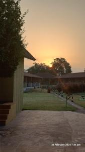 Asiatic Lion Lodge