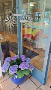 Herberge Seeperle Bistro Rorschach