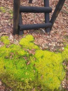 CHALÉ, Pedra, Isolada, Natureza, Rio - Ecoturismo