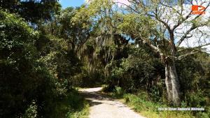 Pousada Casarão do Jabre: História e Natureza JABRE1