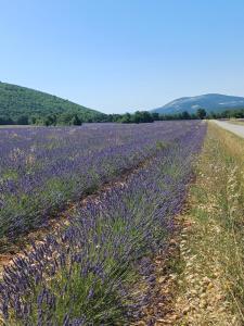 B&B / Chambres d'hotes chambre dans ferme provencale : photos des chambres