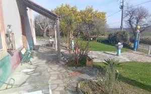 le canard fou - Salerm