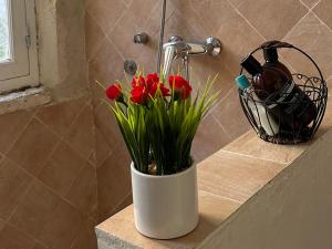 Maisons de vacances La Maison des Hautures : photos des chambres