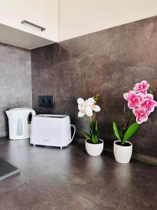 Appartement ZS15
