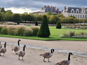 Duplex en centre-ville