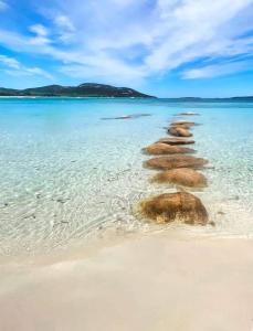 Appartements Corsica Bella 87 T2 Cosy piscines proche plage : photos des chambres