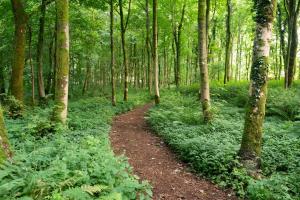 Luxury Off-Grid Cabin with Outdoor Bath in Scotland