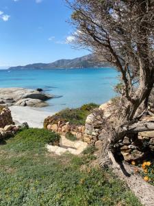 Sul Mare Sardegna Villa Floriana