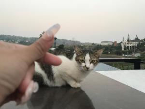 น้ำหนาวโฮมสเตย์เขาค้อ2