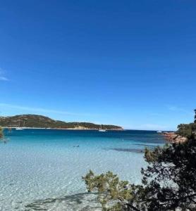Appartements Corsica Bella 87 T2 Cosy piscines proche plage : photos des chambres