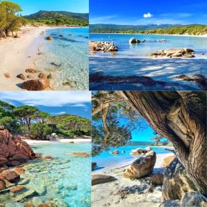 Appartements Corsica Bella 87 T2 Cosy piscines proche plage : photos des chambres