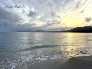 Appartements Corsica Bella 87 T2 Cosy piscines proche plage : photos des chambres