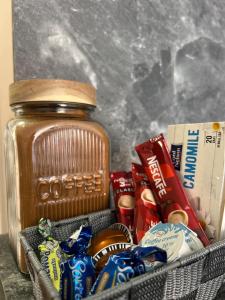 Rea Elita - Fresh and Modern Studio