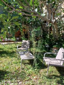B&B / Chambres d'hotes chambre dans ferme provencale : Chambre Double - Vue sur Jardin