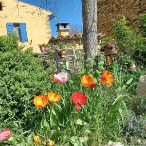B&B / Chambres d'hotes chambre dans ferme provencale : photos des chambres