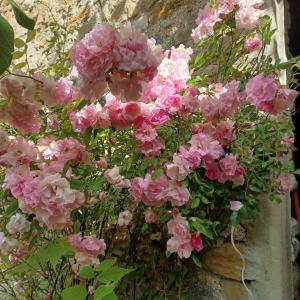 B&B / Chambres d'hotes chambre dans ferme provencale : photos des chambres
