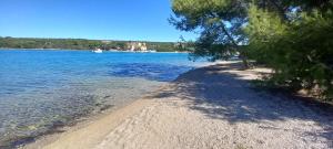 Blue Lagoon Apartment Platinum