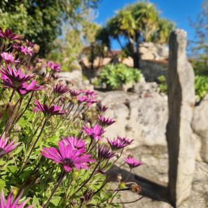 Villa Pedra Natural Houses