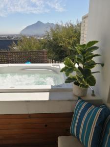 African Violet Guest Suites