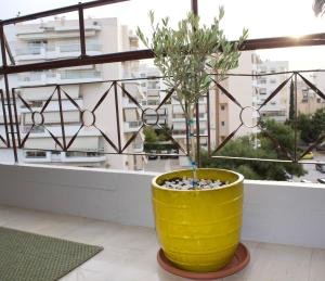 Welcome to Elenas Athens Suite!