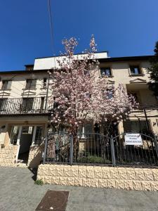 Hotel Boutique Cathedral Plaza Residences room for rent downtown