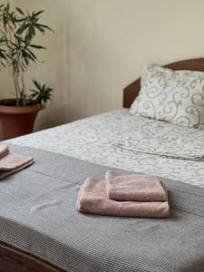 Large Double Room room in Petrograd