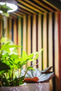 B&B Terra - Stanza Natura img25