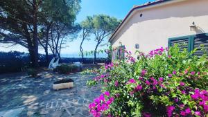 Villa dei Cavallucci Marini