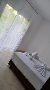 Saranda Blu Apartment