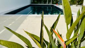 Luxury 4 bdr Villa Nerida