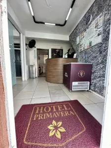 Hotel Primavera - 蓬塔格罗萨