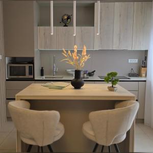 Penthouse Sanchi-Bossa Residence Zagreb with parking