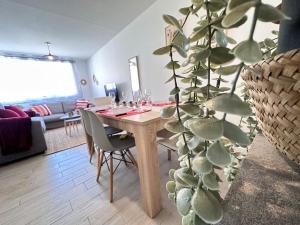 Appartements Les 3 Piliers grand T2 confortable avec parking : photos des chambres