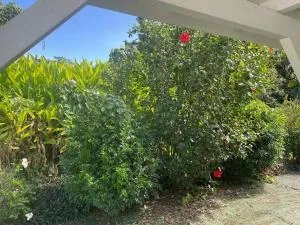 Bungalow 2 personnes Petit Bourg " La Bergetterie" - 戈亚夫