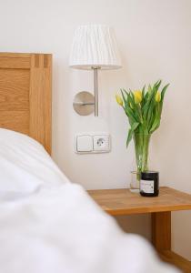 Cosy central apartment in Žižkov