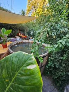 La Araucaria Cabaña con tinaja - Putaendo