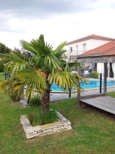 B&B / Chambres d'hotes Les Etoiles du mont d-Uzore : Chambre Double - Vue sur Jardin