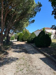 B&B / Chambres d'hotes Les Etoiles du mont d-Uzore : photos des chambres