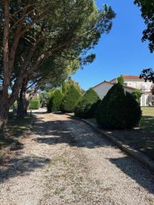 B&B / Chambres d'hotes Les Etoiles du mont d-Uzore : Chambre Double - Vue sur Montagne