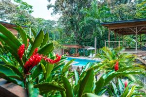 MALU Cabins
