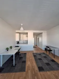 Seppänen - 皮耶克赛迈基