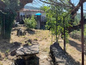 Maisons de vacances Jolie maison des Cevennes : photos des chambres