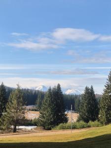 Sunny Grand Chalet Apartment