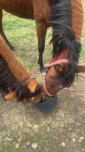 Espectacular cabaña