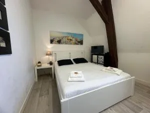 Calvaire charmant studio rénové proche gare - Saint-Aignan